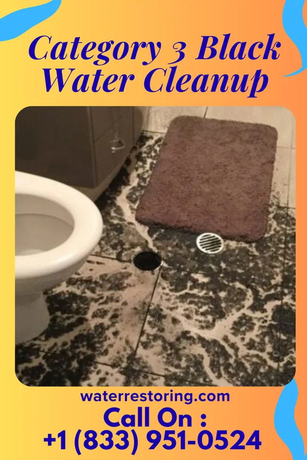 Category 3 Black Water Cleanup in Edgerton, OH