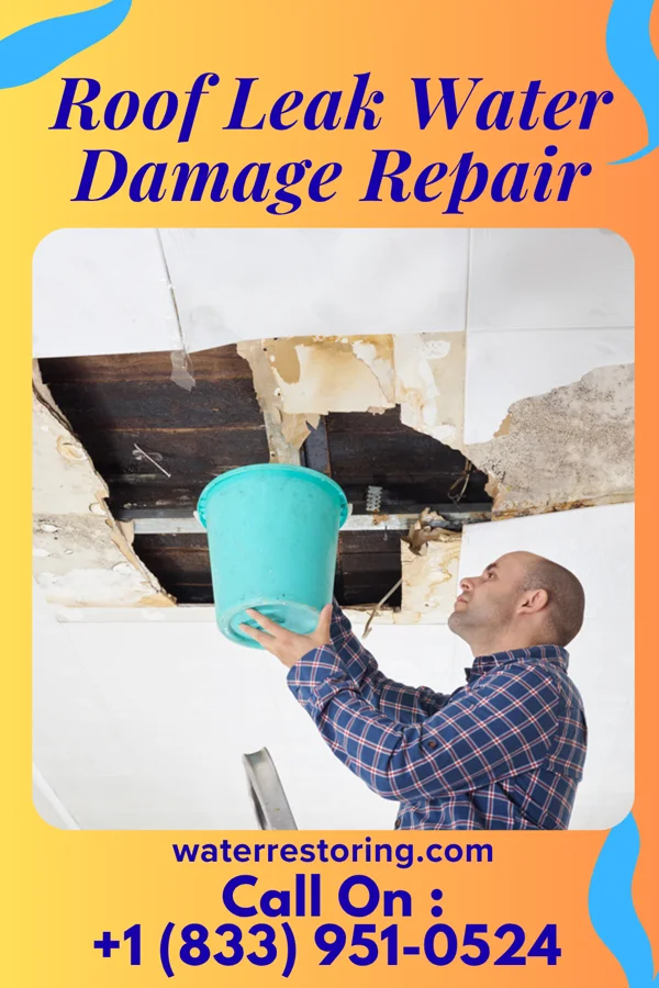 Roof Leak Water Damage Repair in Edgerton, OH