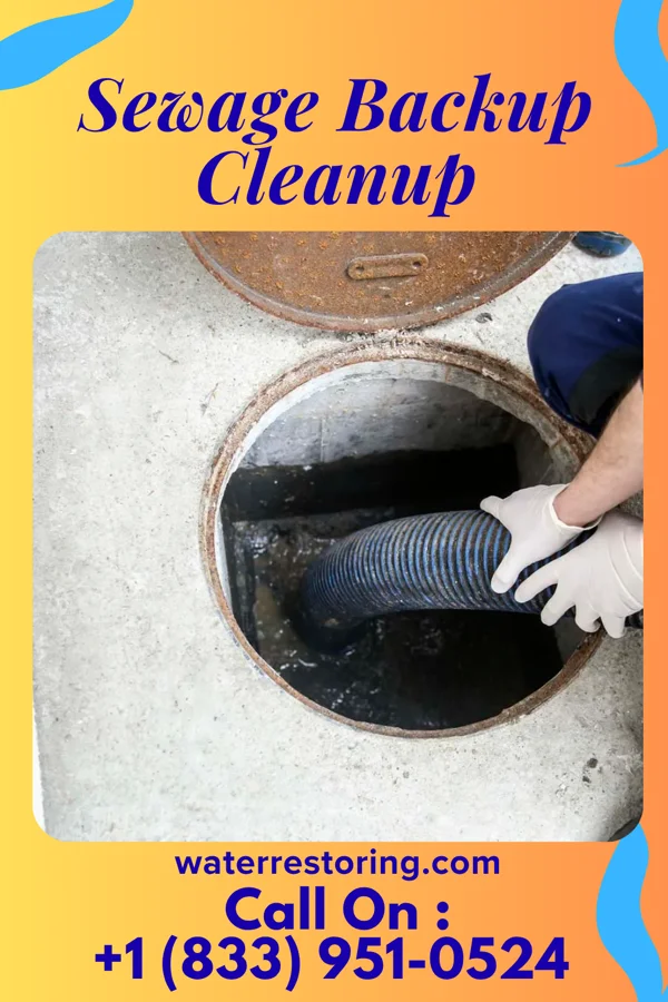 Sewage Backup Cleanup in Edgerton, OH